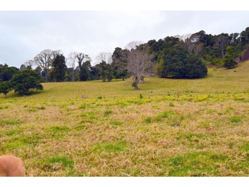 266 Colling Road, Comboyne NSW 2429