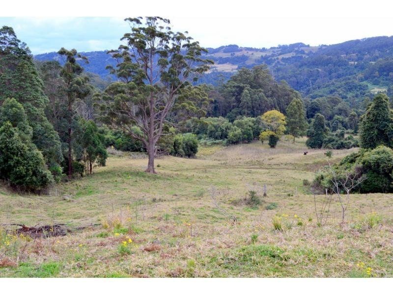 266 Colling Road, Comboyne NSW 2429