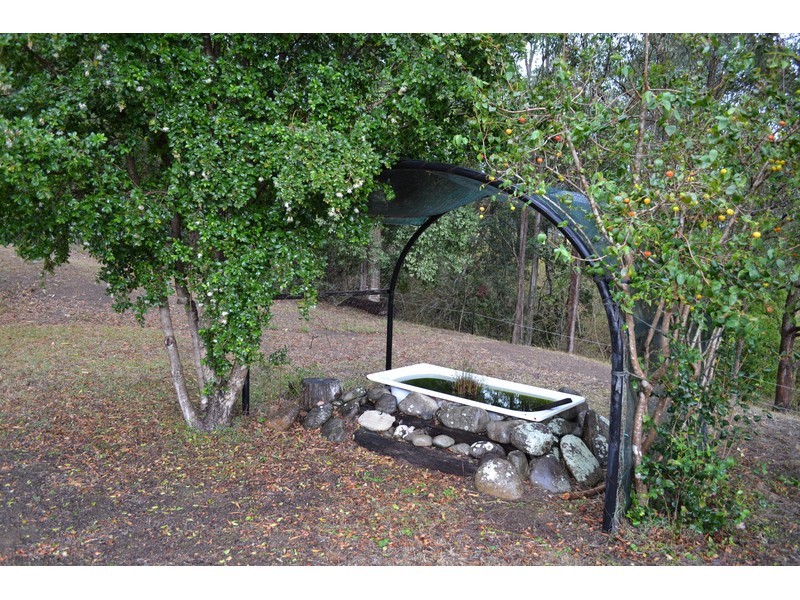 1578 Forbes River Road, Birdwood NSW 2446