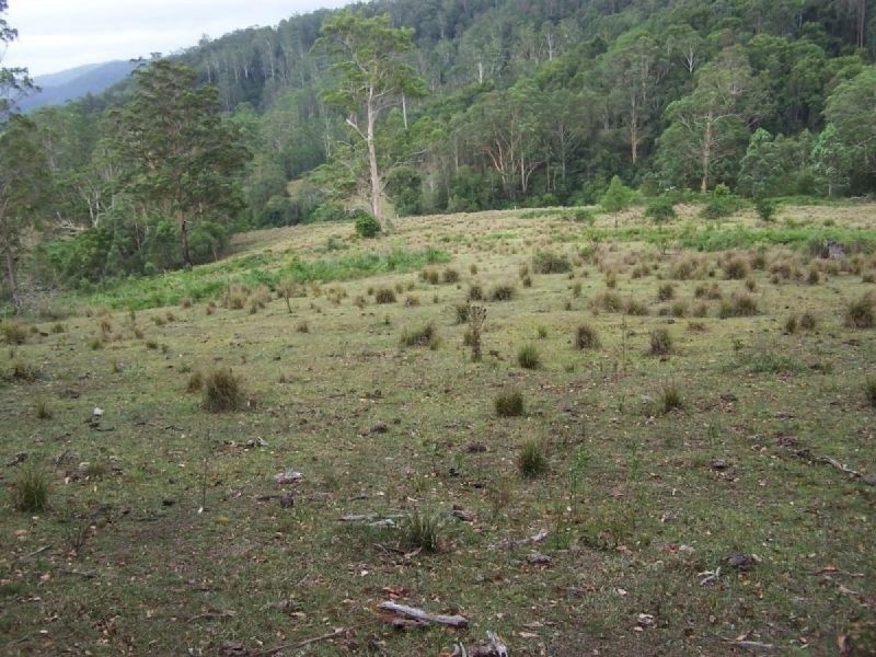 Lot 178, 1869 Pappinbarra Road, Hollisdale NSW 2446