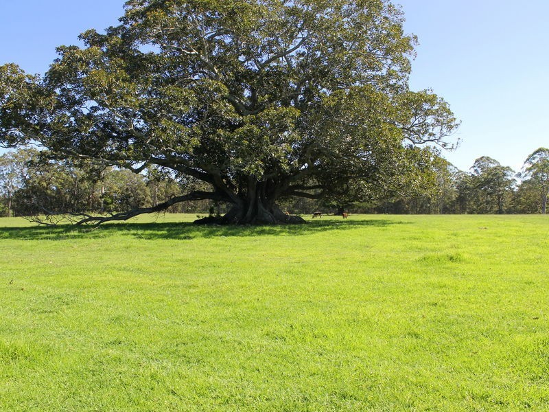 190 Hewens Road, Beechwood NSW 2446