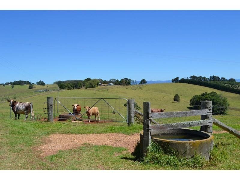 4 Ingleside Road, Comboyne NSW 2429