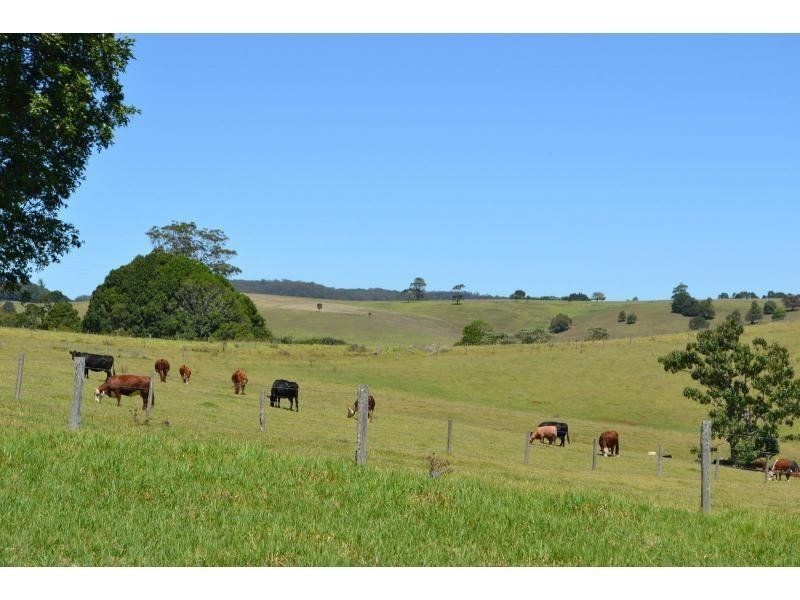 4 Ingleside Road, Comboyne NSW 2429