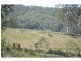 886 Kindee Road, Kindee NSW 2446