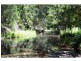 886 Kindee Road, Kindee NSW 2446