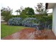 Wauchope NSW 2446
