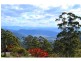 481 Ponsfords Road, Comboyne NSW 2429