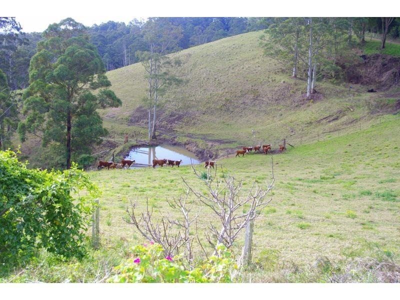 481 Ponsfords Road, Comboyne NSW 2429
