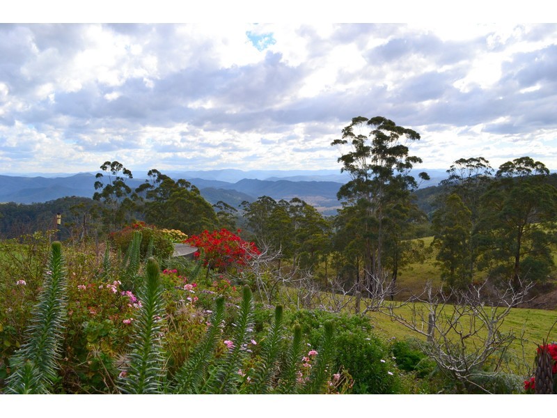 481 Ponsfords Road, Comboyne NSW 2429