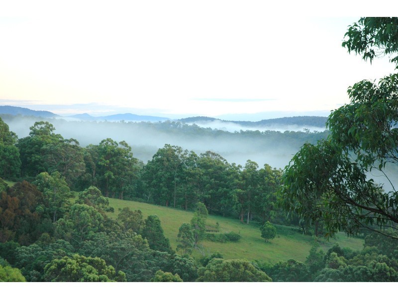 376 Pappinbarra Road, Beechwood NSW 2446