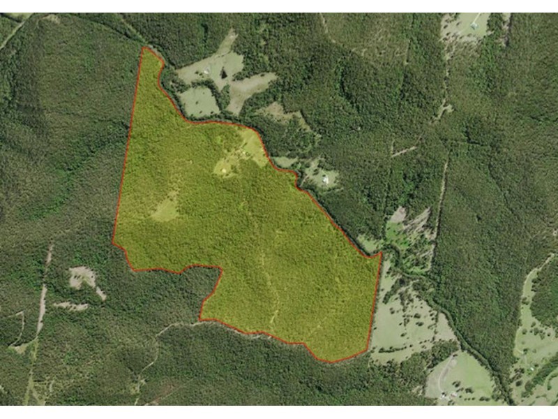 518 Pappinbarra Road, Beechwood NSW 2446