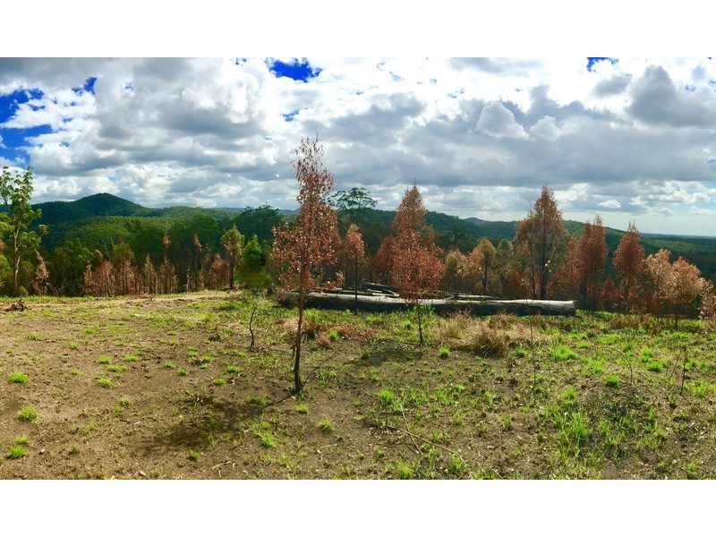 518 Pappinbarra Road, Beechwood NSW 2446