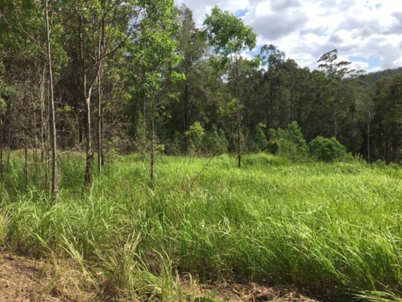 518 Pappinbarra Road, Beechwood NSW 2446