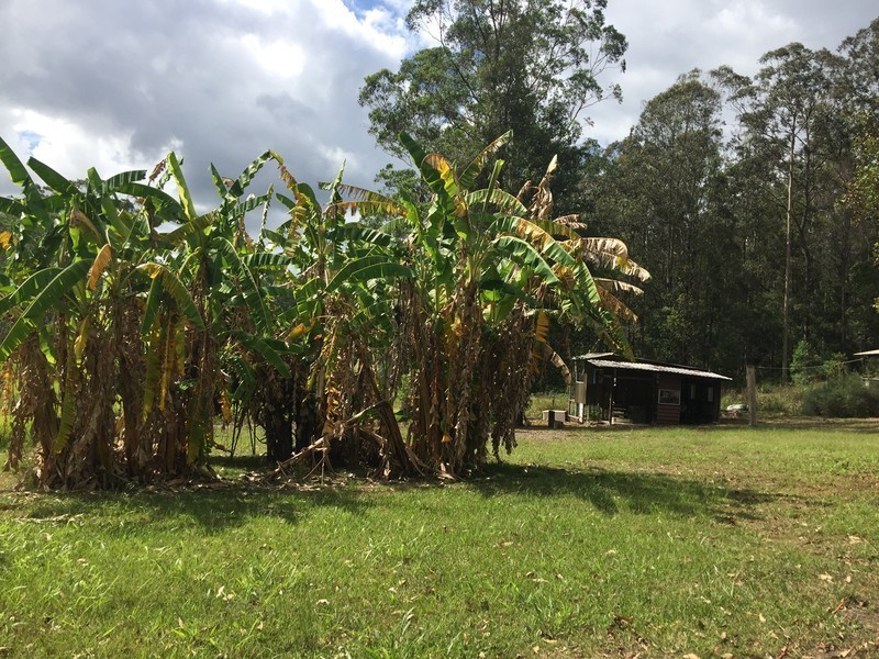 518 Pappinbarra Road, Beechwood NSW 2446