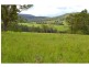 1281 Pappinbarra Road, Hollisdale NSW 2446