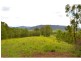 1281 Pappinbarra Road, Hollisdale NSW 2446
