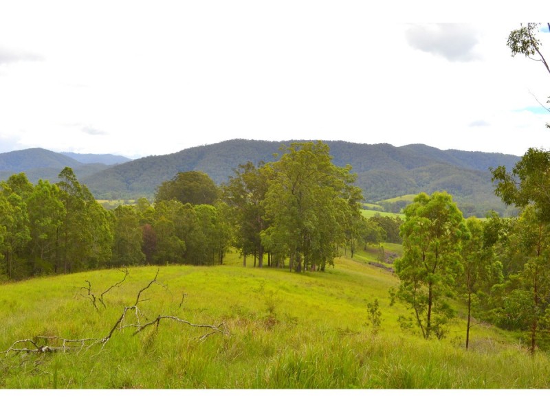 1281 Pappinbarra Road, Hollisdale NSW 2446