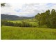 1281 Pappinbarra Road, Hollisdale NSW 2446