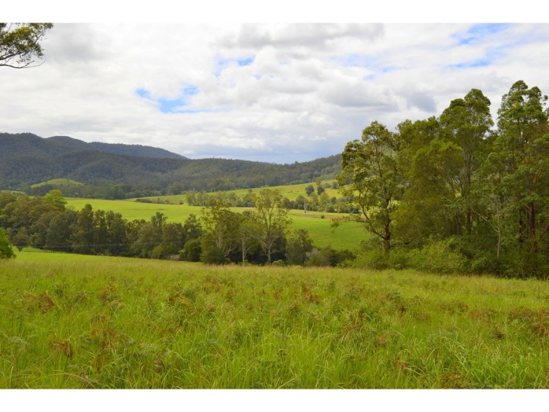 1281 Pappinbarra Road, Hollisdale NSW 2446
