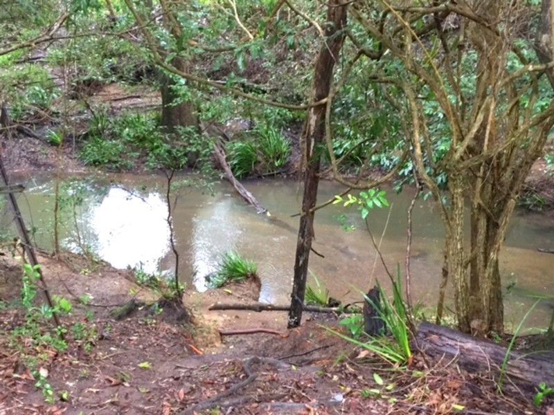 Lot 99,  Bril Bril Road, Rollands Plains NSW 2441