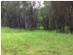 Lot 99,  Bril Bril Road, Rollands Plains NSW 2441