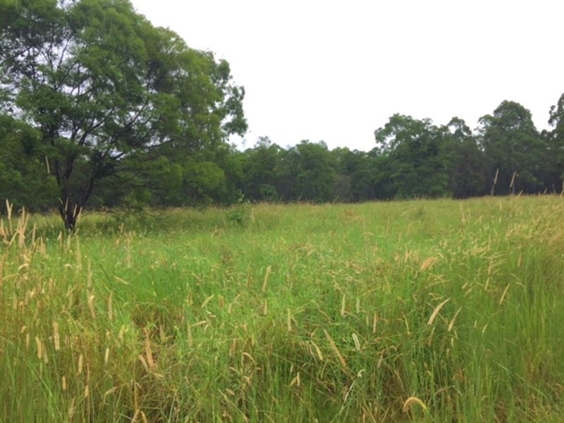 Lot 99,  Bril Bril Road, Rollands Plains NSW 2441