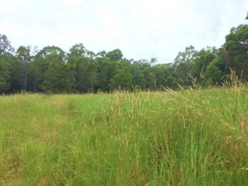 Lot 99,  Bril Bril Road, Rollands Plains NSW 2441