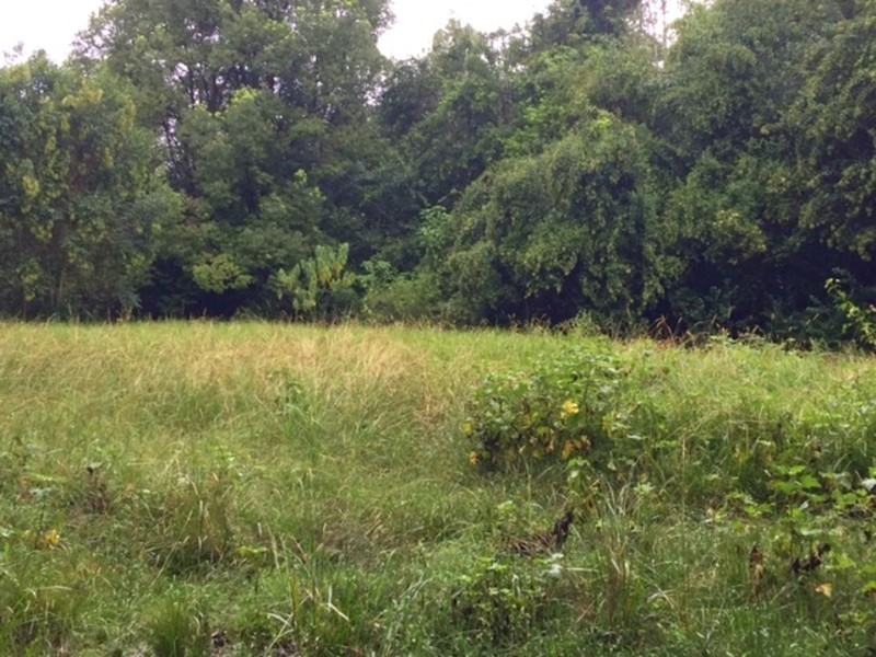 Lot 99,  Bril Bril Road, Rollands Plains NSW 2441