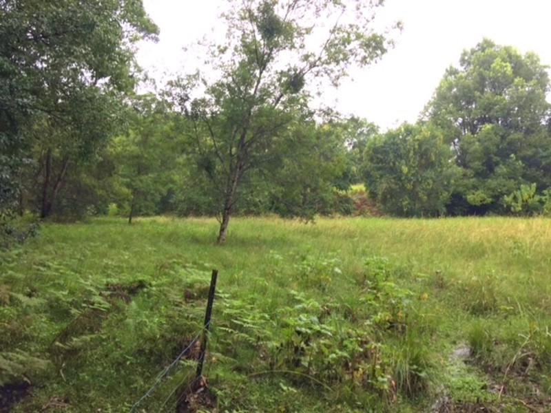 Lot 99,  Bril Bril Road, Rollands Plains NSW 2441