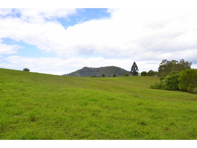 82 Boytrang Road, Pipeclay NSW 2446