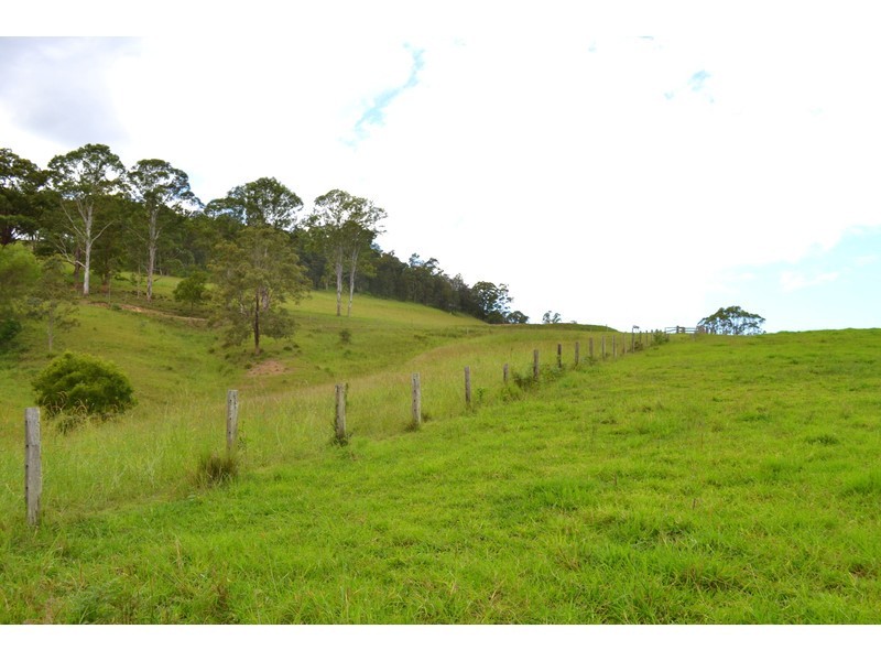 82 Boytrang Road, Pipeclay NSW 2446