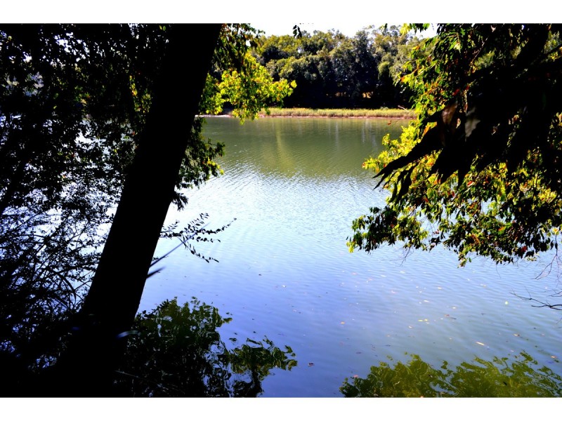 80 Pembrooke Road, Redbank NSW 2446