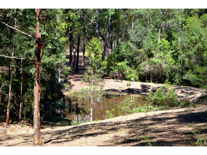 80 Pembrooke Road, Redbank NSW 2446