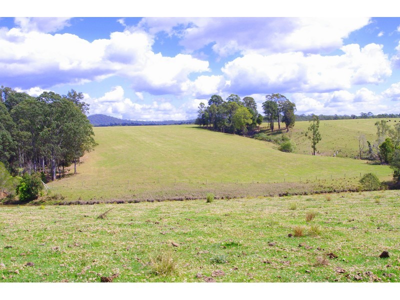 369 Bellangry Road, Mortons Creek NSW 2446