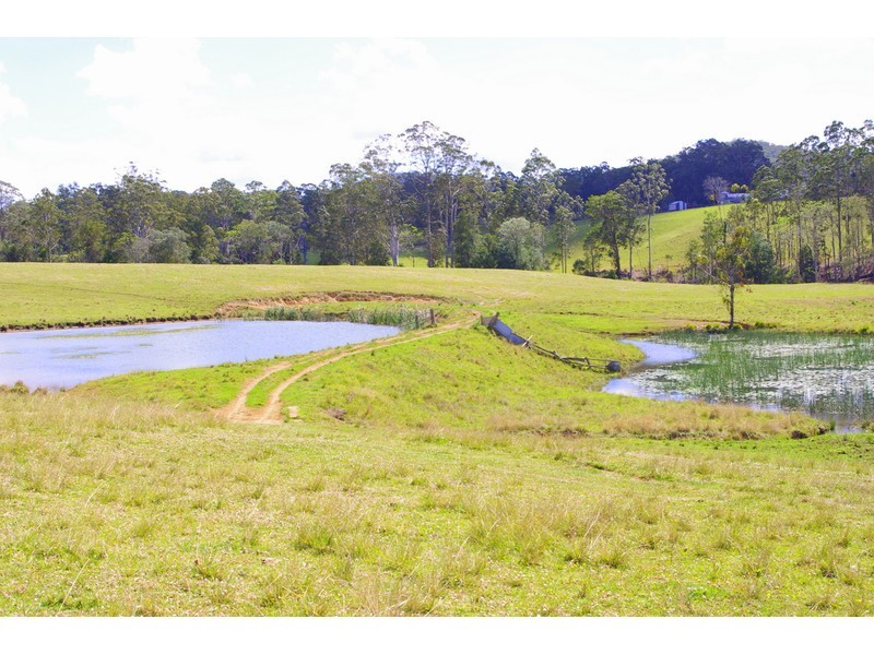 369 Bellangry Road, Mortons Creek NSW 2446