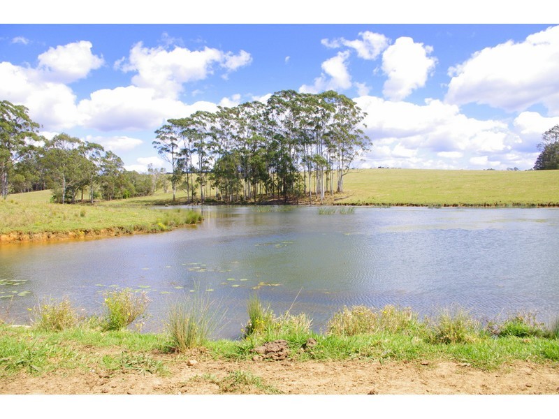 369 Bellangry Road, Mortons Creek NSW 2446