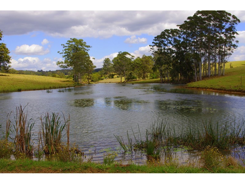 369 Bellangry Road, Mortons Creek NSW 2446