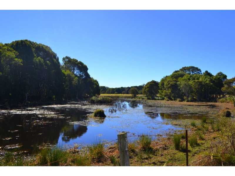 61 River Oaks Drive, Kendall NSW 2439