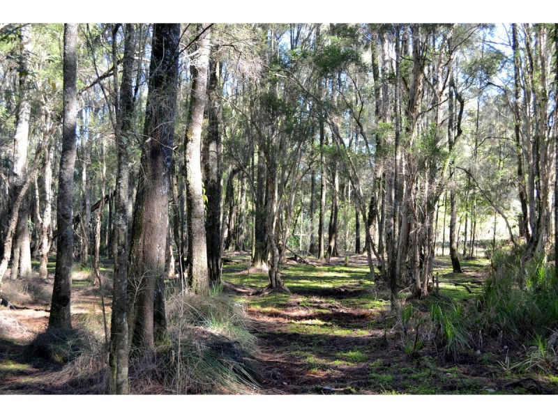 61 River Oaks Drive, Kendall NSW 2439