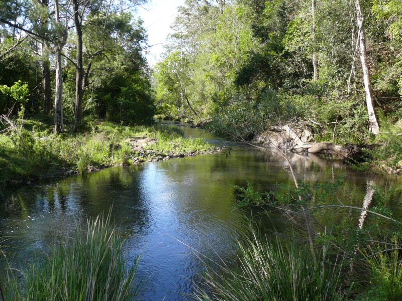 1194 Comboyne Road, Byabarra NSW 2446