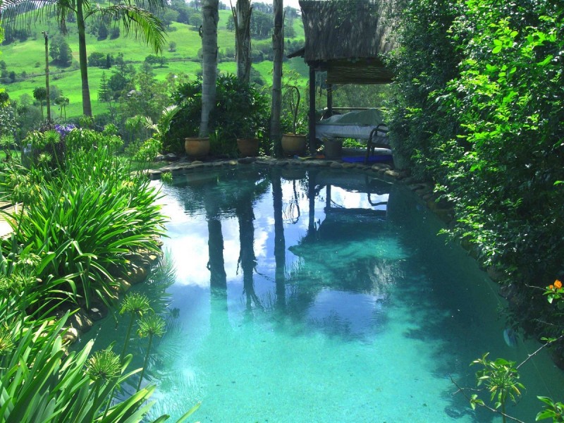 1194 Comboyne Road, Byabarra NSW 2446