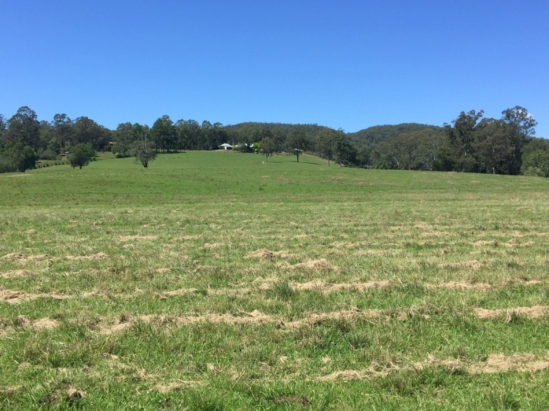 1194 Comboyne Road, Byabarra NSW 2446