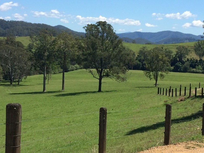 1194 Comboyne Road, Byabarra NSW 2446