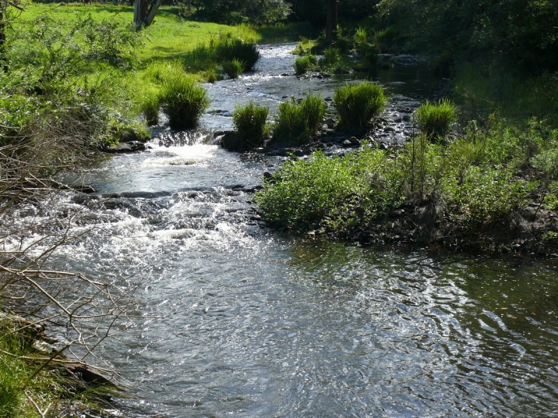 1194 Comboyne Road, Byabarra NSW 2446