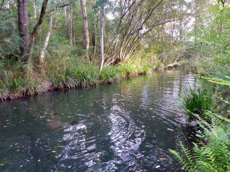 929 Comboyne Road, Byabarra NSW 2446