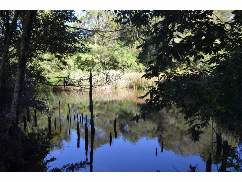 3500 Wingham Road, Comboyne NSW 2429