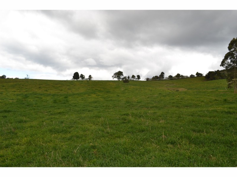 3500 Wingham Road, Comboyne NSW 2429