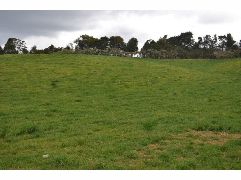 3500 Wingham Road, Comboyne NSW 2429