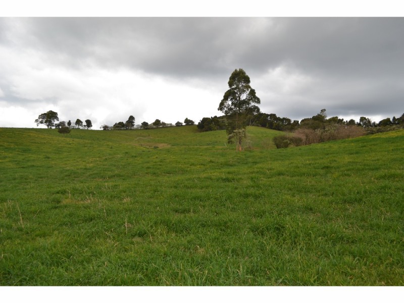 3500 Wingham Road, Comboyne NSW 2429