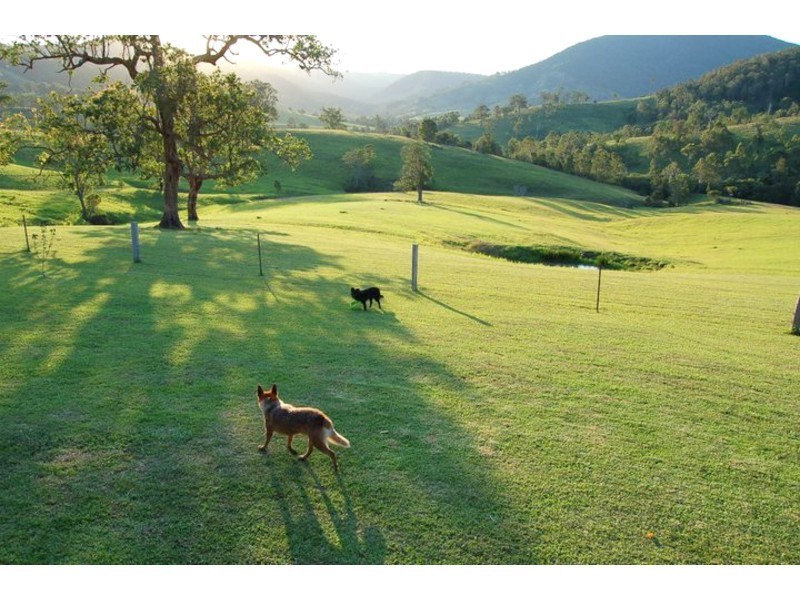 Mount Seaview NSW 2446